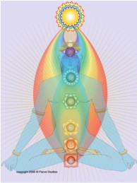 Óleos para os Chakras