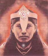 2 - LIANA DELLA FORESTA 